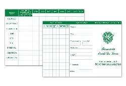 Art. FS2038, Scheda analisi.